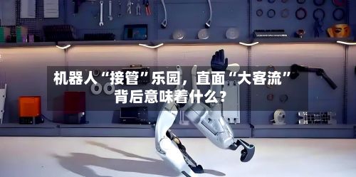 机器人“接管	”乐园	，直面“大客流”背后意味着什么？-第1张图片