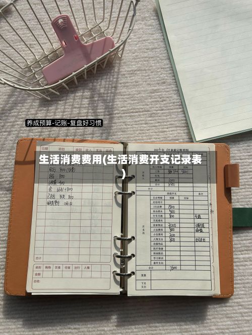 生活消费费用(生活消费开支记录表)-第1张图片