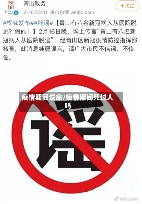 疫情期间没命/疫情期间死过人吗-第1张图片