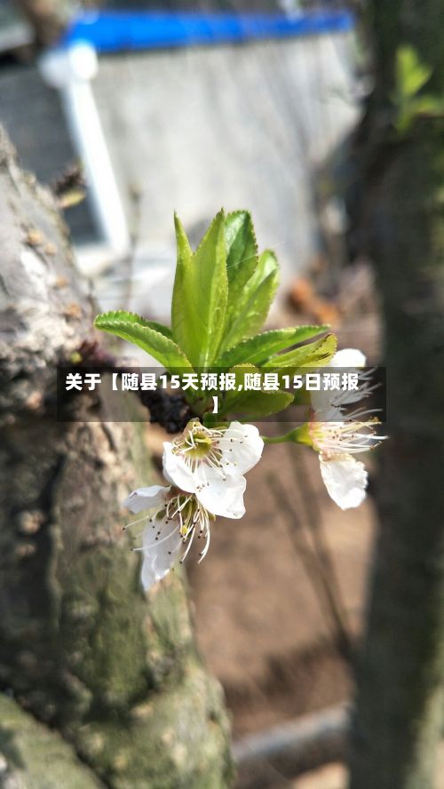 关于【随县15天预报,随县15日预报】-第1张图片