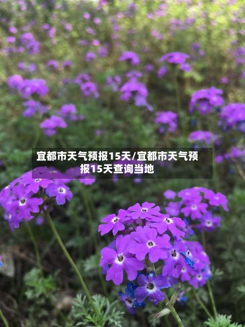 宜都市天气预报15天/宜都市天气预报15天查询当地-第1张图片