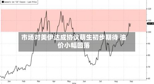 市场对美伊达成协议萌生初步期待 油价小幅回落-第1张图片
