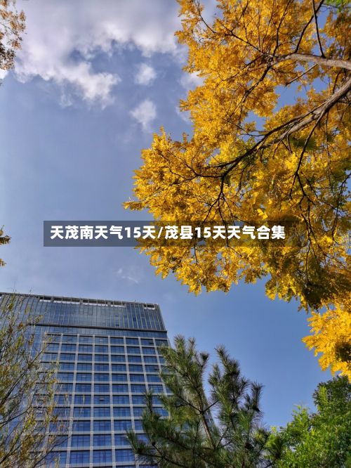 天茂南天气15天/茂县15天天气合集-第1张图片