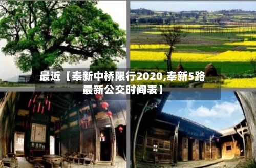 最近【奉新中桥限行2020,奉新5路最新公交时间表】-第1张图片