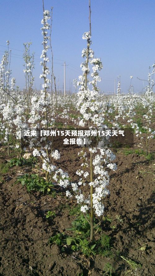 近来【邓州15天预报邓州15天天气全报告】-第1张图片
