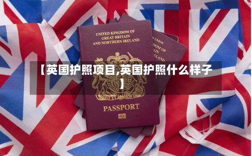 【英国护照项目,英国护照什么样子】-第1张图片