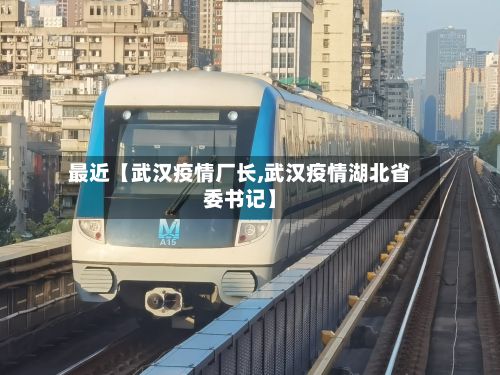 最近【武汉疫情厂长,武汉疫情湖北省委书记】-第1张图片