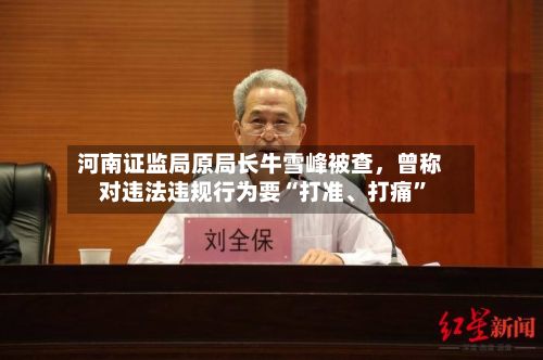 河南证监局原局长牛雪峰被查，曾称对违法违规行为要“打准、打痛	”-第1张图片
