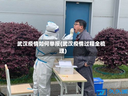武汉疫情如何举报(武汉疫情过程全梳理)-第1张图片