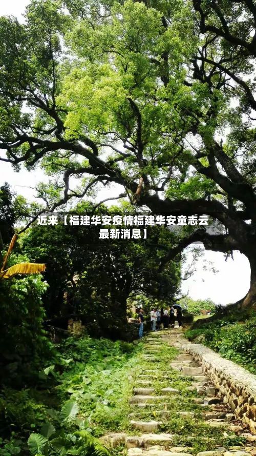 近来【福建华安疫情福建华安童志云最新消息】-第1张图片