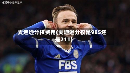 麦迪逊分校费用(麦迪逊分校是985还是211)-第1张图片