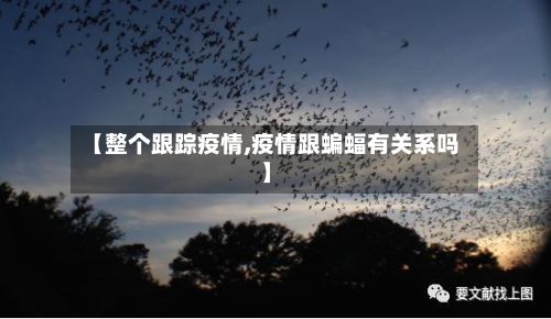 【整个跟踪疫情,疫情跟蝙蝠有关系吗】-第1张图片